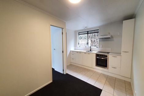 Photo of property in 23a Hazel Avenue, Mount Roskill, Auckland, 1041