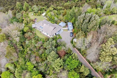 Photo of property in 475 Work Road, Whakamarama, Katikati, 3181