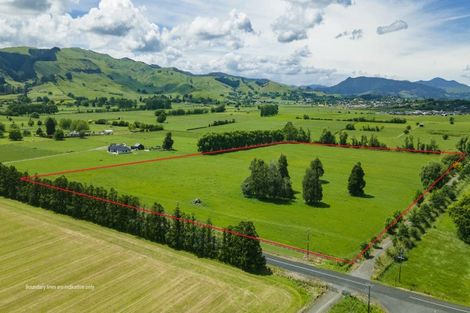 Photo of property in 117 Hubbard Road, Paeroa, 3674