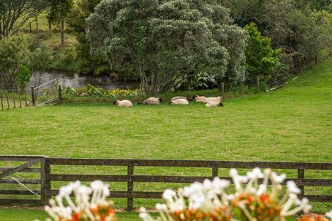 Photo of property in 37 Lloyd Road, Riverhead, Albany, 0793