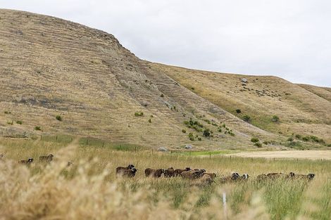 Photo of property in 1061 Ardgour Road, Tarras, Cromwell, 9383