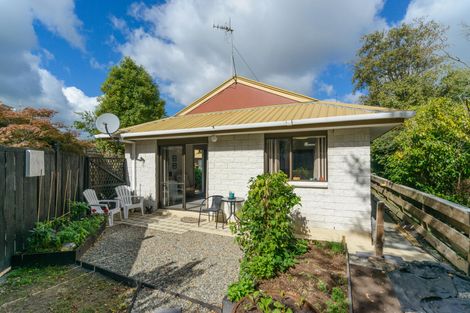Photo of property in 43c Mcgregor Street, Milson, Palmerston North, 4414