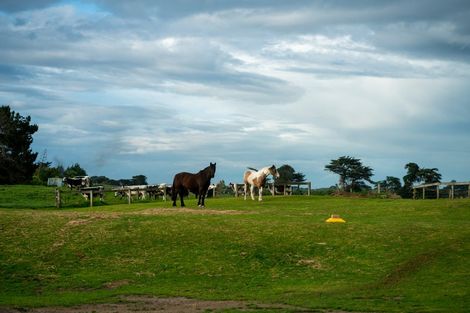 Photo of property in 56 Puruaha Road, Te Horo, Otaki, 5581