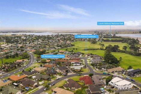 Photo of property in 37 Nicholas Gibbons Drive, Clendon Park, Auckland, 2103