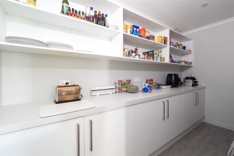 Photo of property in 46 Braebrook Drive, Netherby, Ashburton, 7700