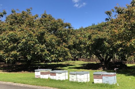 Photo of property in 237b Busby Road, Tahawai, Katikati, 3170