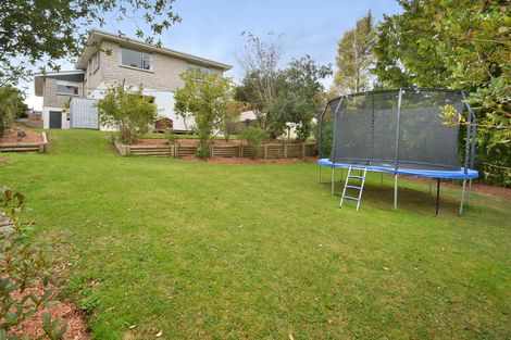 Photo of property in 159 Main Road, Fairfield, Dunedin, 9018