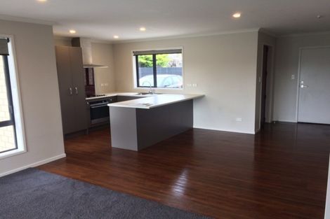 Photo of property in 46 Monmouth Street, Feilding, 4702