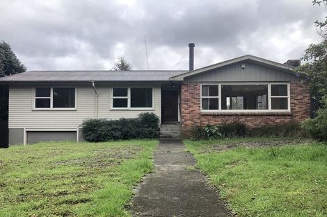 Photo of property in 52 Kingdale Road, Henderson, Auckland, 0610