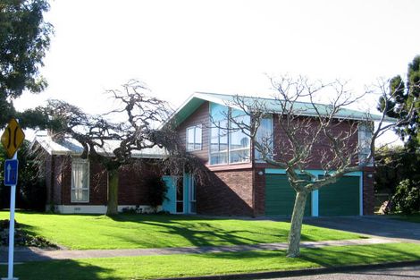 Photo of property in 101 Dittmer Drive, West End, Palmerston North, 4412