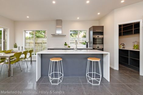 Photo of property in 87b Te Awe Awe Street, Hokowhitu, Palmerston North, 4410