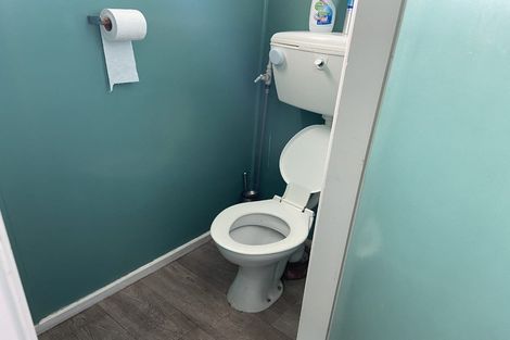 Photo of property in 22 Cornwall Street, Mossburn, 9792