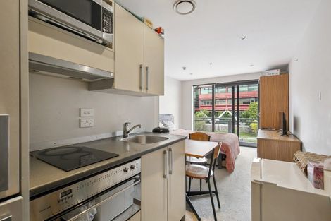 Photo of property in Dual Apartments, 210/142 Vivian Street, Te Aro, Wellington, 6011