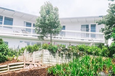 Photo of property in 49 Churchill Road, Judea, Tauranga, 3110