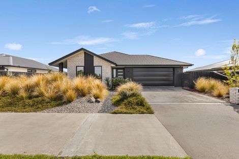 Photo of property in 101 Edward Street, Lincoln, 7608