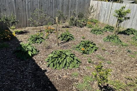 Photo of property in 6 Baker Street, Waihi, 3610