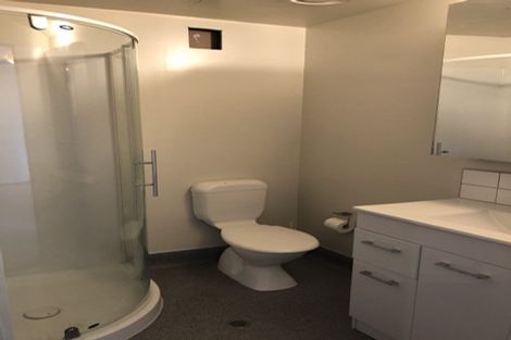 Photo of property in Dual Apartments, 301/142 Vivian Street, Te Aro, Wellington, 6011