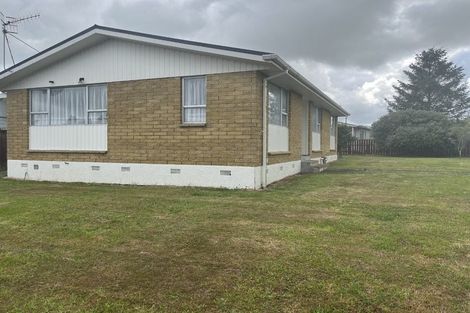 Photo of property in 63 Hinemoa Street, Levin, 5510