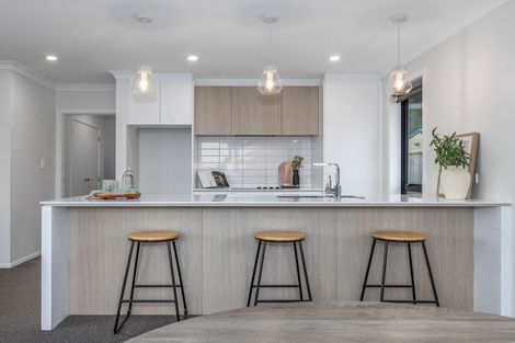 Photo of property in 79 Hinemoa Street, Levin, 5510