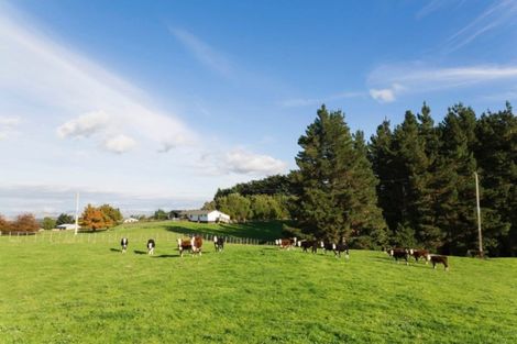 Photo of property in 116 Adelaide Road, Dannevirke, 4930