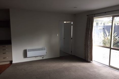 Photo of property in 20a Walpole Street, Waltham, Christchurch, 8023