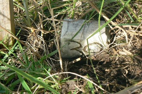 Photo of property in 45 Opononi Heights Drive, Opononi, Kaikohe, 0473