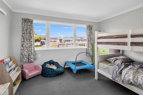 Photo of property in 17 Ferguson Street, Levin, 5510