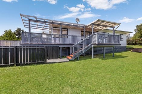 Photo of property in 54 Hinerau Street, Henderson, Auckland, 0612