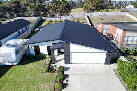 Photo of property in 17 Oxnam Place, Foxton Beach, Foxton, 4815