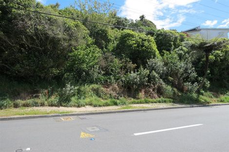 Photo of property in 141 Ironside Road, Johnsonville, Wellington, 6037