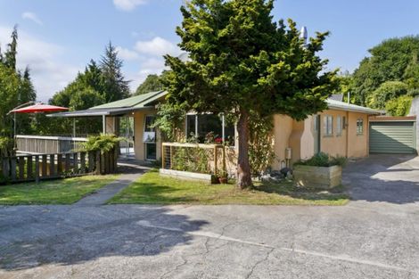 Photo of property in 137 Rickit Street, Taupo, 3330