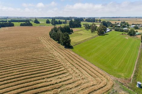 Photo of property in 40 Willowbridge Settlement Road, Waimate, 7980