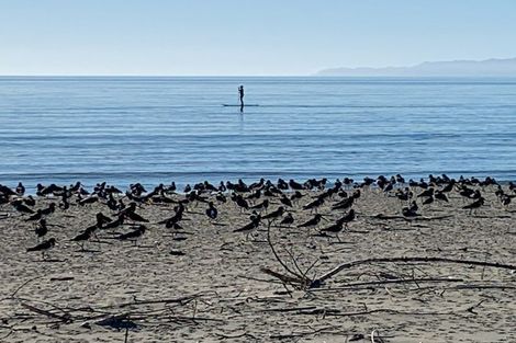 Photo of property in 125 Excellent Street, Collingwood, 7073