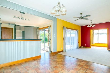 Photo of property in 20 Taylor Street, Geraldine, 7930