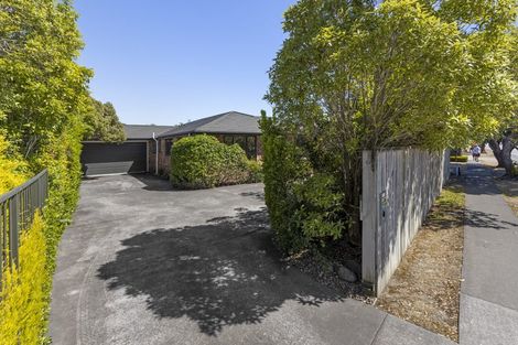 Photo of property in 142 Maxwell Road, Redwoodtown, Blenheim, 7201