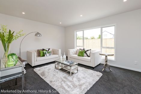 Photo of property in 87b Te Awe Awe Street, Hokowhitu, Palmerston North, 4410