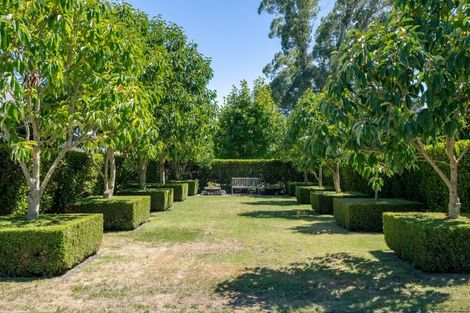 Photo of property in 65 Birchwood Lane, Tamahere, Hamilton, 3283