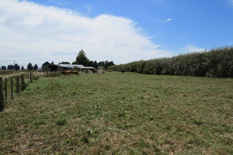 Photo of property in 181 Chamberlain Road, Te Awamutu, 3879