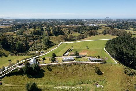 Photo of property in 347d Pyes Pa Road, Pyes Pa, Tauranga, 3173