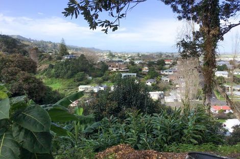 Photo of property in 119 Irishtown Road, Thames, 3500