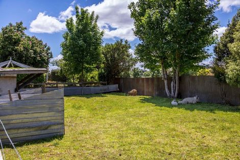 Photo of property in 20 Haswell Street, Eketahuna, 4900