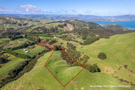 Photo of property in 61 Coroglen Rise, Pukerua Bay, 5026