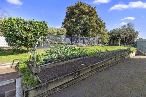 Photo of property in 44 Willow Grove, Morrinsville, 3300