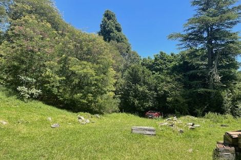 Photo of property in 116 Waimata Valley Road, Makauri, Gisborne, 4071