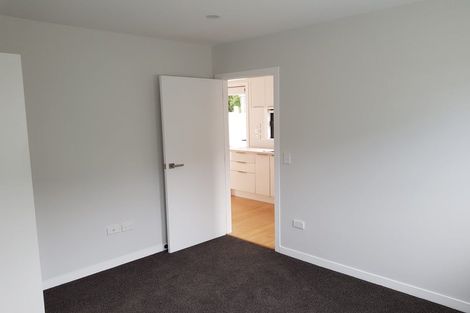 Photo of property in 118 The Ridgeway, Mornington, Wellington, 6021