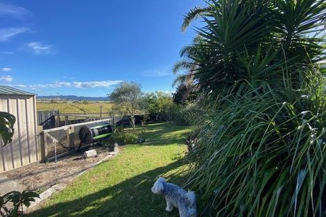 Photo of property in 13 Panorama Place, Coastlands, Whakatane, 3120
