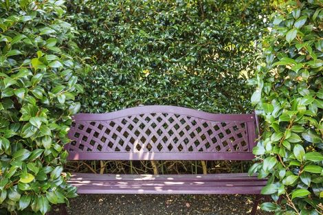 Photo of property in 2/53 Francis Street, Hauraki, Auckland, 0622