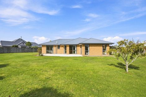 Photo of property in 9 Clifford Place, Amberley, 7410