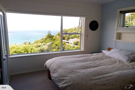 Photo of property in 49 Hornsey Road, Melrose, Wellington, 6023