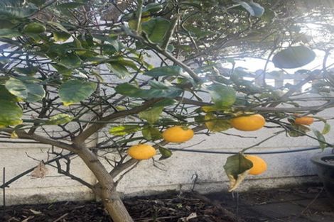 Photo of property in 25 Discovery Drive, Whitby, Porirua, 5024